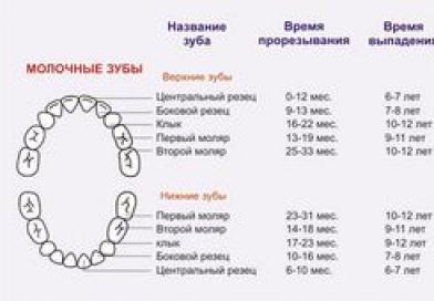 Структурата на човешки зъб: диаграма
